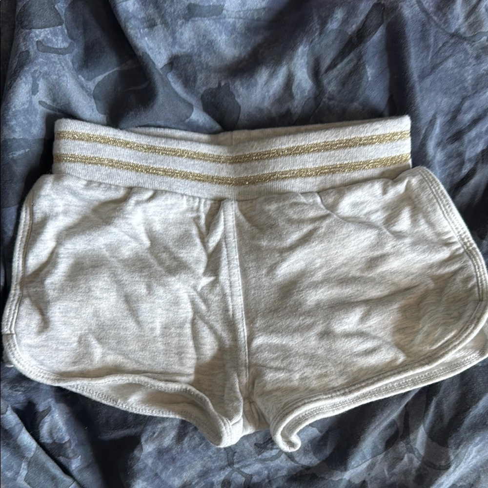 Gray Shorts with Gold Stripes